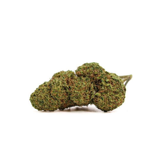 Fleur de CBD Californienne | NORTH THUNDERBLEND | 9.5% | Hydroponie