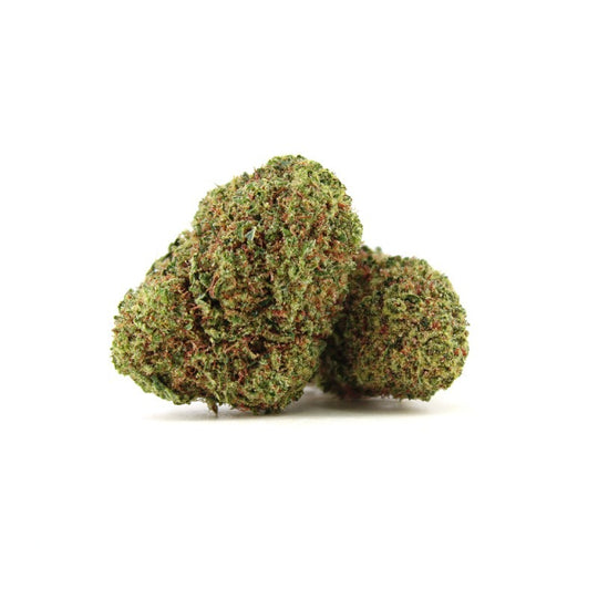 Fleur de CBD Californienne | NORTH THUNDERBLEND | 9.5% | Hydroponie